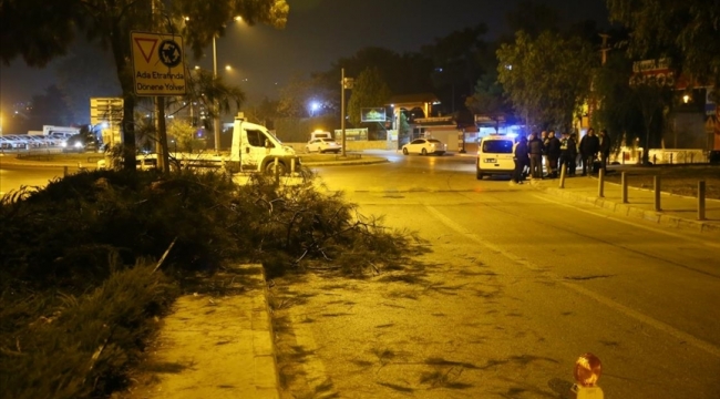 İzmir'de refüjdeki ağaca çarpan kamyonun sürücüsü yaralandı