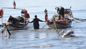"Tepeli pelikan", hayatını kurtaran Aydınlı balıkçıyı terk etmedi