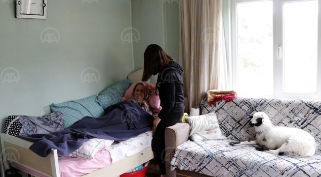 Üniversiteli Feride Nur, hem yatağa bağımlı ninesine hem annesiz kalmış kuzuya bakıyor